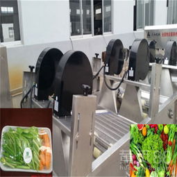 【小型蔬菜清洗加工设备价格-气泡清洗机-多功能蔬菜清洗机设备】-
