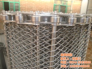 山东不锈钢网带 鼎鑫网链 已认证 不锈钢网带高清图片 高清大图