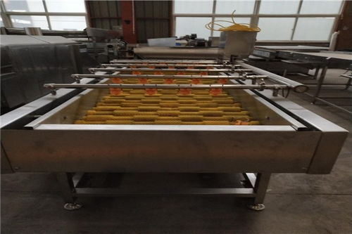 涟源龙虾清洗机小型哪里买致电祥询