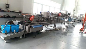 净菜加工流水线 果蔬清洗机 果蔬加工厂清洗设备厂家直销定制