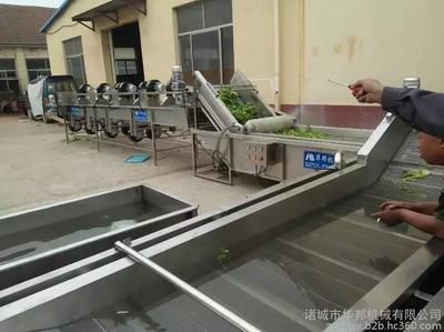 山东净菜加工流水线 蔬菜清洗机 洗菜机 诸城华邦机械图片_高清图_细节图