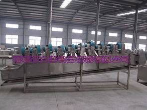 大洋牌商用果蔬风干机,翻转式气流风干设备