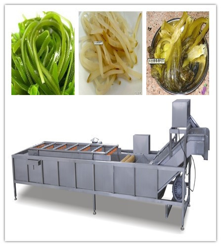 小包装净菜水芹_小包装净菜水芹大全/细节图 - 搜好.