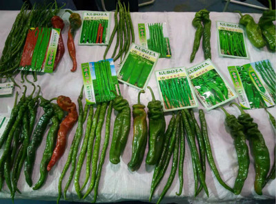 市蔬菜办组团参加第25届中国杨凌农高会