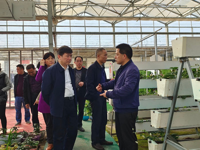 省厅农机处调研株洲设施农业