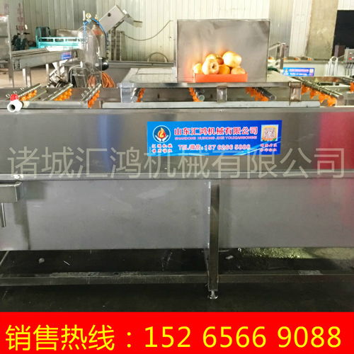 橙子清洗机,血橙清洗加工设备,毛辊清洗机厂家