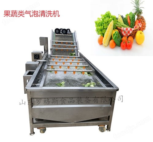 果蔬加工设备 高压喷淋气泡清洗机