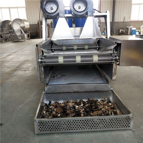 【厂家胡萝卜清洗去皮机果蔬清洗流水线蔬菜净加工成套设备】- 