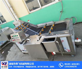 蔬菜气泡清洗机厂家 诸城鑫飞机械 甘肃蔬菜气泡清洗机