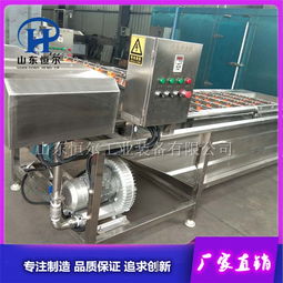 不锈钢蔬菜清洗机 山东恒尔专业制造，提升蔬菜加工效率