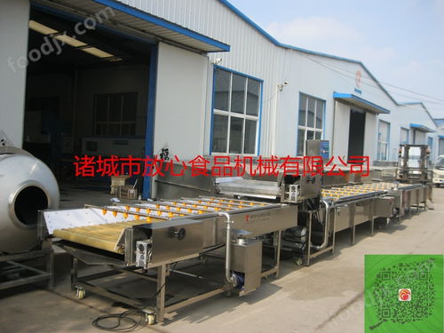 全自动蔬菜加工设备多少钱 果蔬加工成套设备