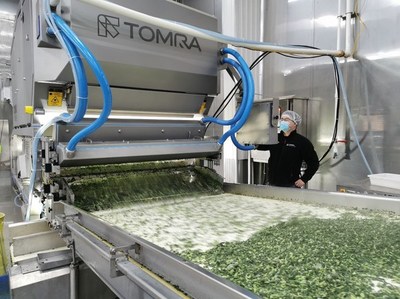 山东三涛食品 引领蔬菜加工机械的创新与发展