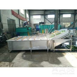 鼎凤源红枣蔬菜清洗机参数说明及诸城气泡清洗流水线厂家介绍