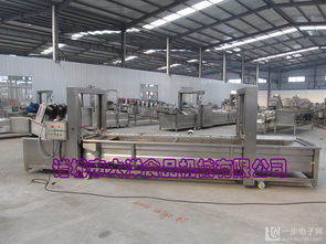 专业蔬菜加工机械 气泡原理洗菜机的高效洁净之道