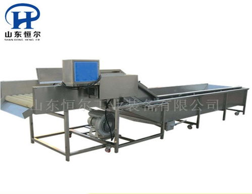 山东恒尔 专业商用生菜清洗加工设备的领航者