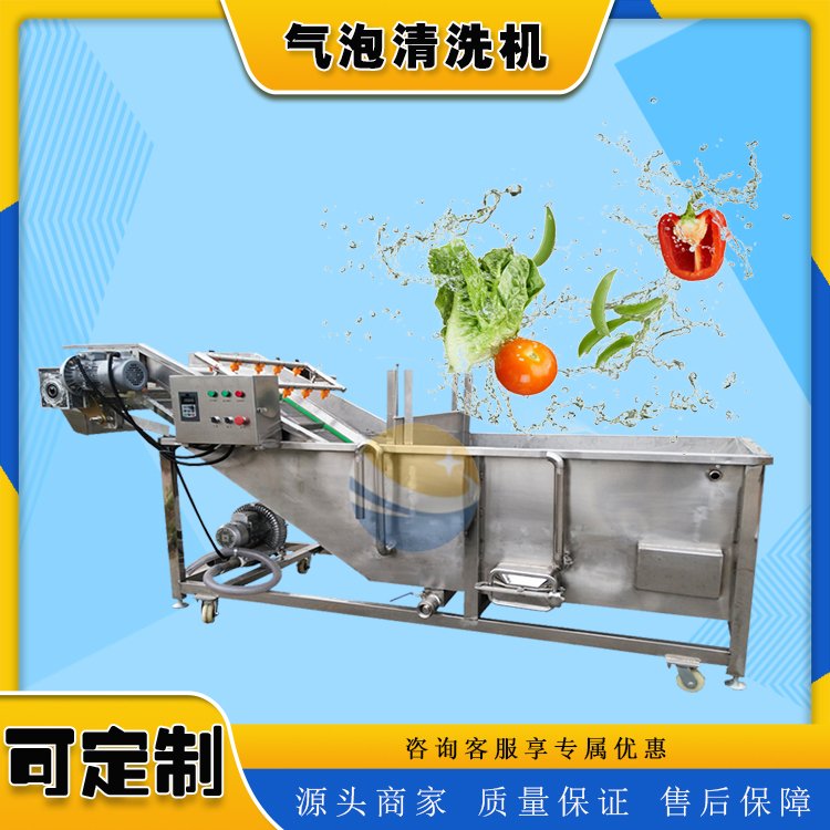 高效节能的果蔬清洗风干线 现代蔬菜加工机械的革新之选